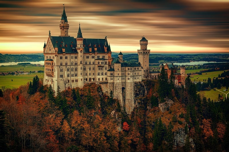 Whimsical Wonderland