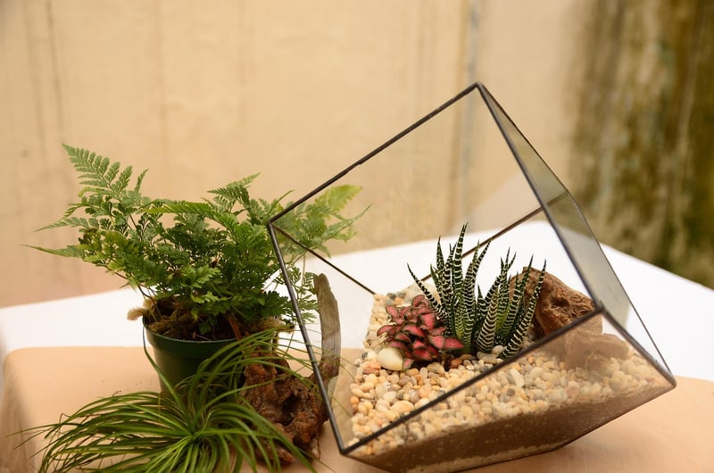 Geometric Centerpiece